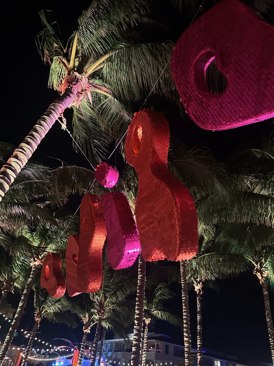 © 2025 ZZYZX ("pinata" with dot over the letter i)